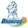 home team logo