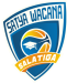 home team logo