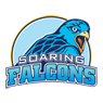 away team logo
