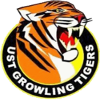 home team logo