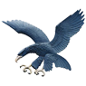 home team logo