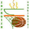 home team logo