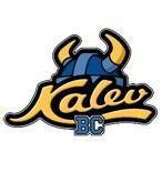 home team logo