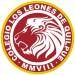 home team logo