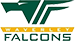 home team logo