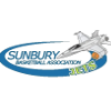home team logo