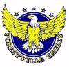 home team logo