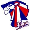 away team logo