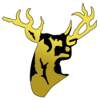 home team logo