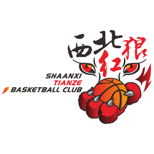 home team logo