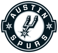 home team logo