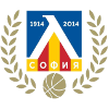 home team logo