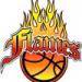 home team logo