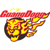 home team logo