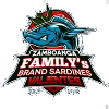away team logo