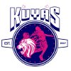 home team logo