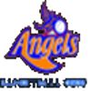 home team logo