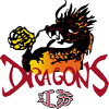 home team logo