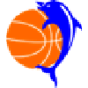 home team logo