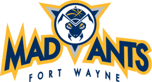 home team logo