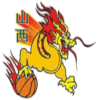 home team logo