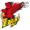 home team logo