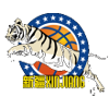 home team logo