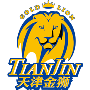 home team logo