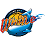 home team logo