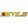 home team logo