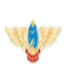 home team logo