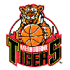 home team logo