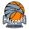 home team logo