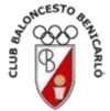 home team logo