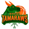 home team logo