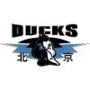 away team logo