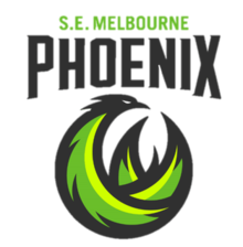 home team logo