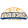 away team logo