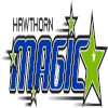home team logo