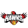 home team logo