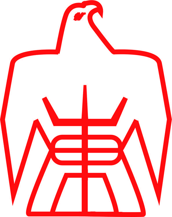 home team logo