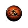 home team logo