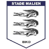 home team logo
