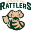 away team logo
