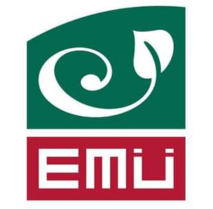 home team logo