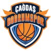 away team logo