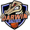 home team logo