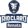 home team logo