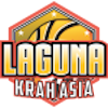home team logo
