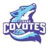 home team logo